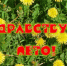 Здравствуй, лето! - Газета Голос хлебороба