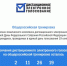Жители Алтайского края участвуют в общероссийской тренировке по использованию системы дистанционного электронного голосования - Газета Голос хлебороба