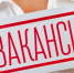 Свыше 24 тысяч жителей Алтайского края нашли работу с помощью службы занятости - Газета Голос хлебороба