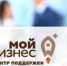 С начала года компании Алтайского края получили под поручительства центра «Мой бизнес» кредиты на сумму 3,7 миллиарда рублей - Газета Голос хлебороба
